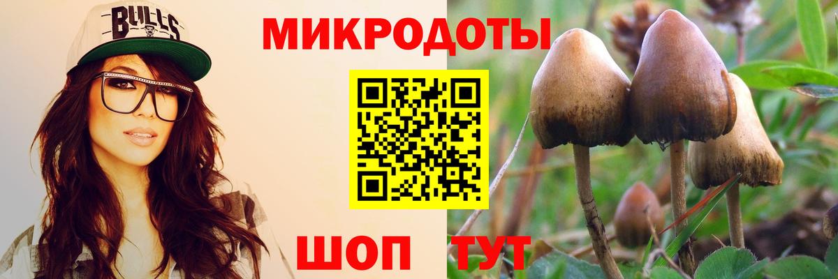 Псилоцибиновые грибы мицелий  Вход с VPN  Саров 